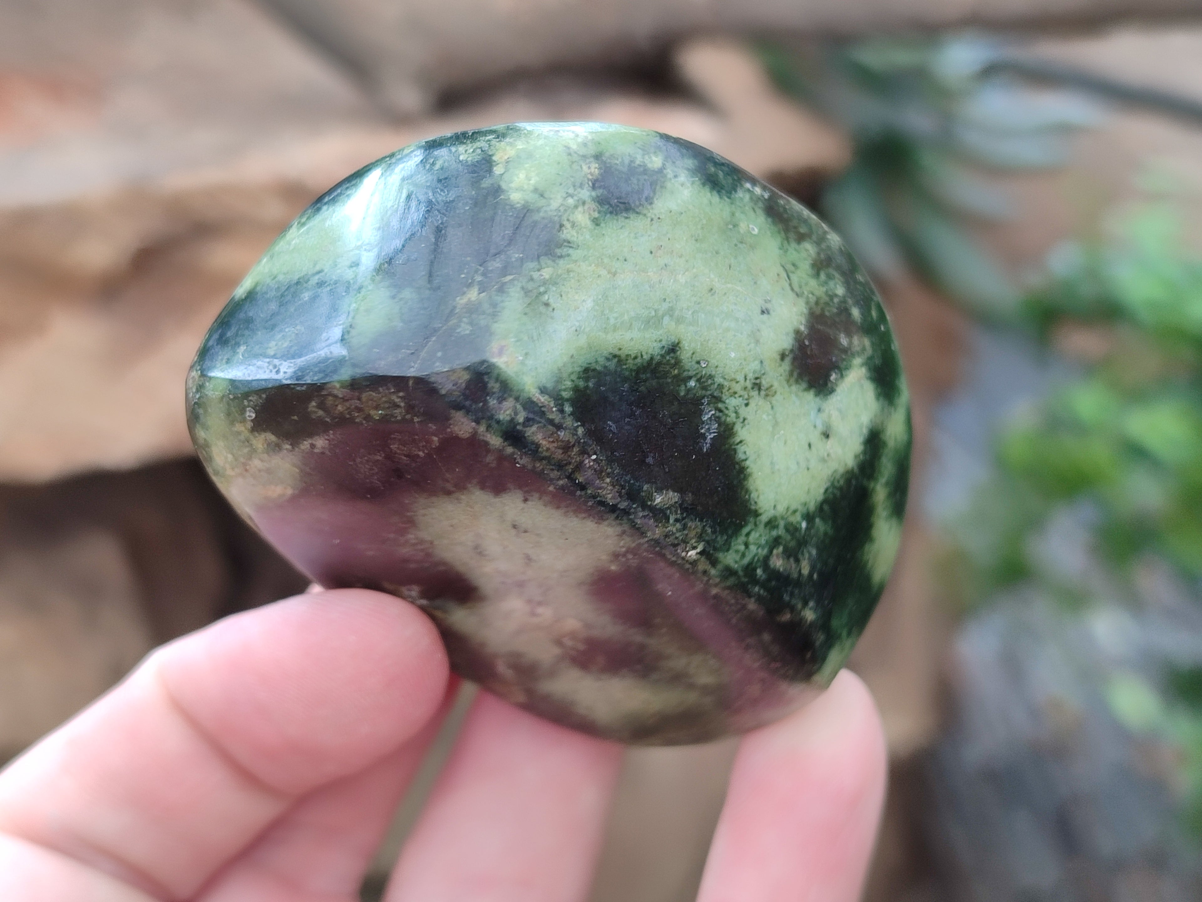 Polished Leopard Stone Free Forms x 8 From Zimbabwe - Toprock Gemstones and Minerals 