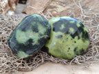 Polished Leopard Stone Free Forms x 8 From Zimbabwe - Toprock Gemstones and Minerals 