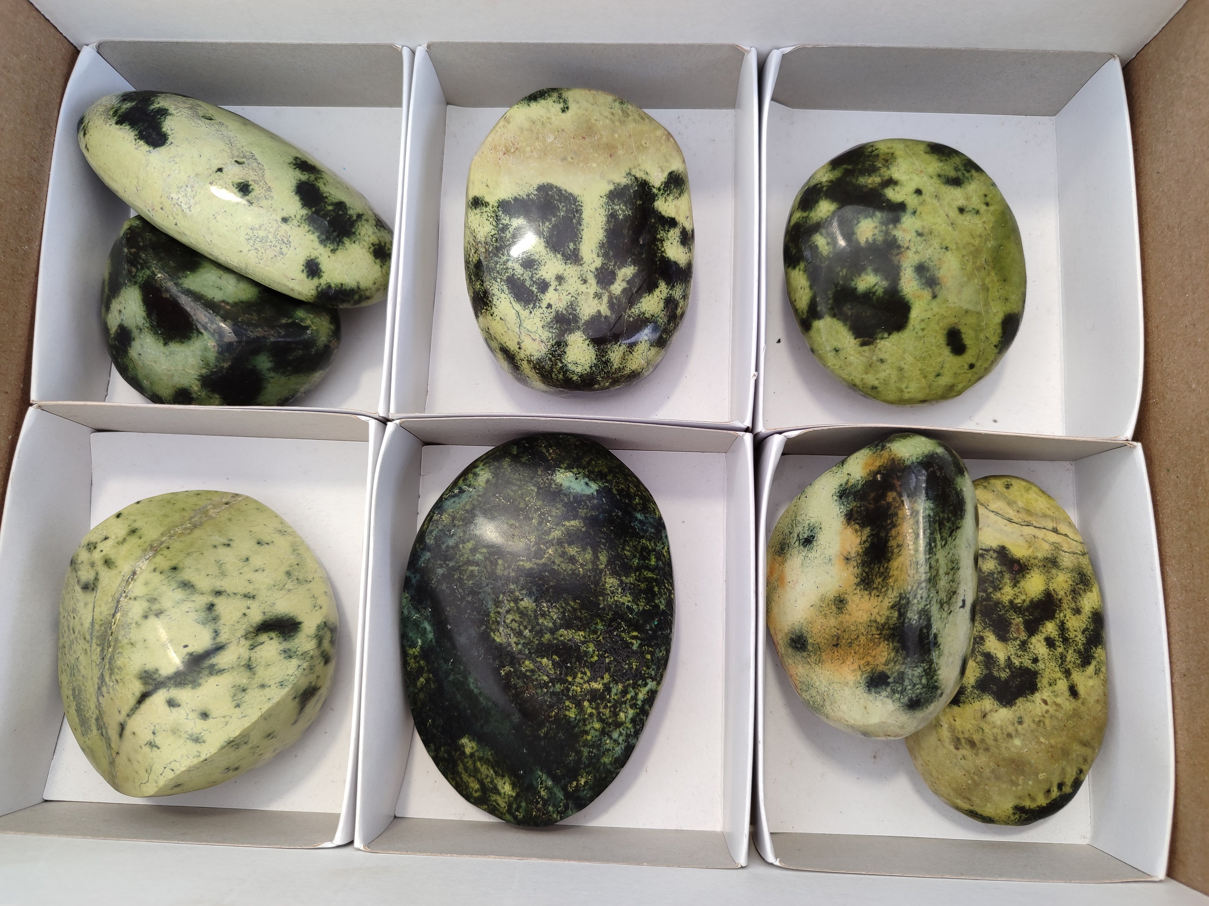 Polished Leopard Stone Free Forms x 8 From Zimbabwe - Toprock Gemstones and Minerals 