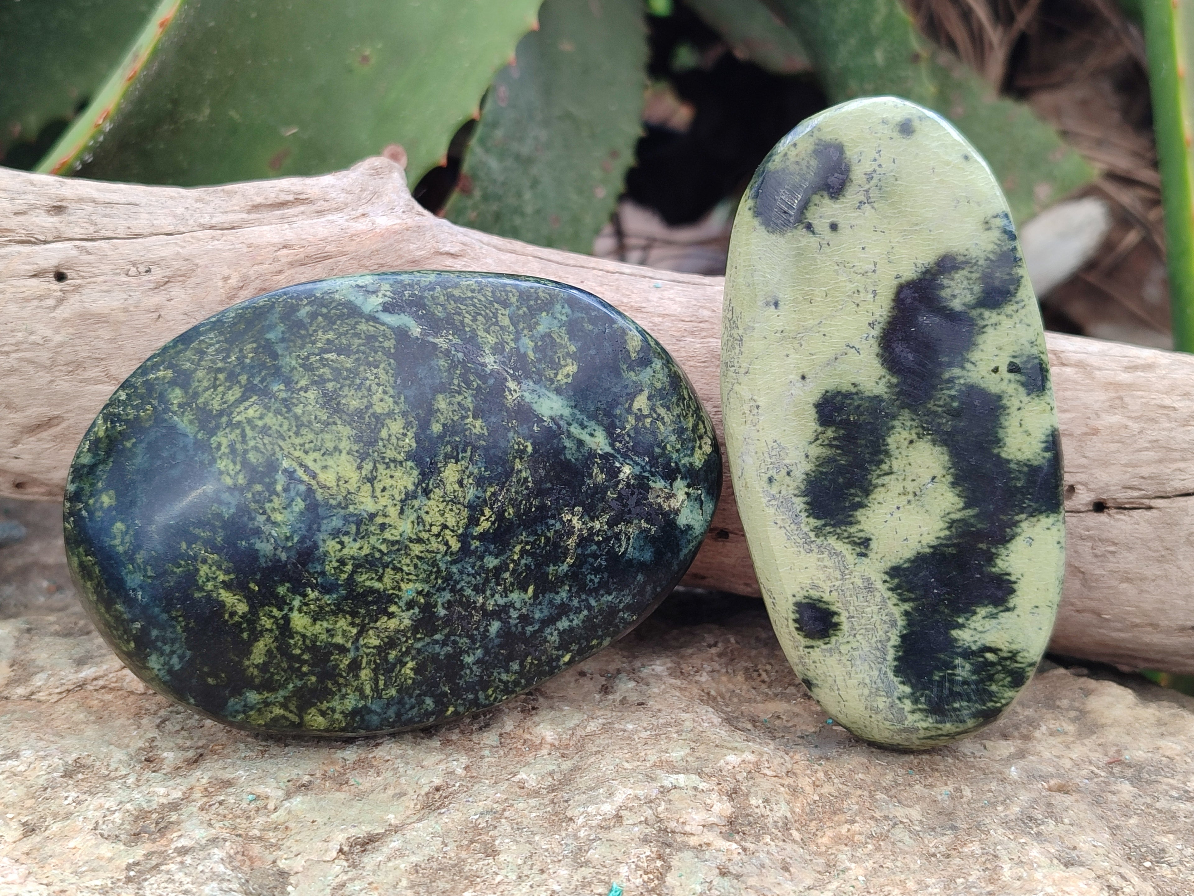 Polished Leopard Stone Free Forms x 8 From Zimbabwe - Toprock Gemstones and Minerals 