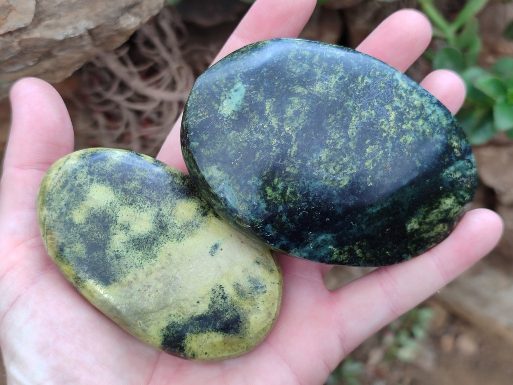 Polished Leopard Stone Free Forms x 8 From Zimbabwe - Toprock Gemstones and Minerals 