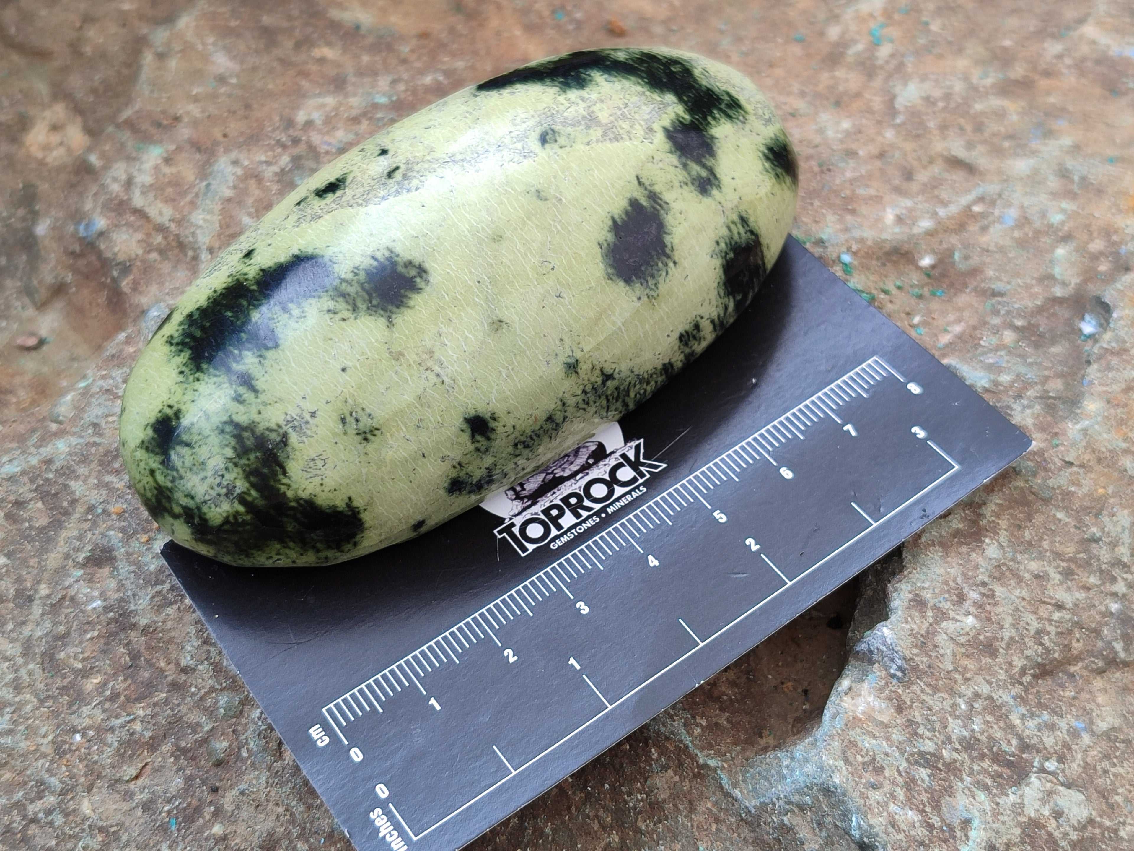 Polished Leopard Stone Free Forms x 8 From Zimbabwe - Toprock Gemstones and Minerals 