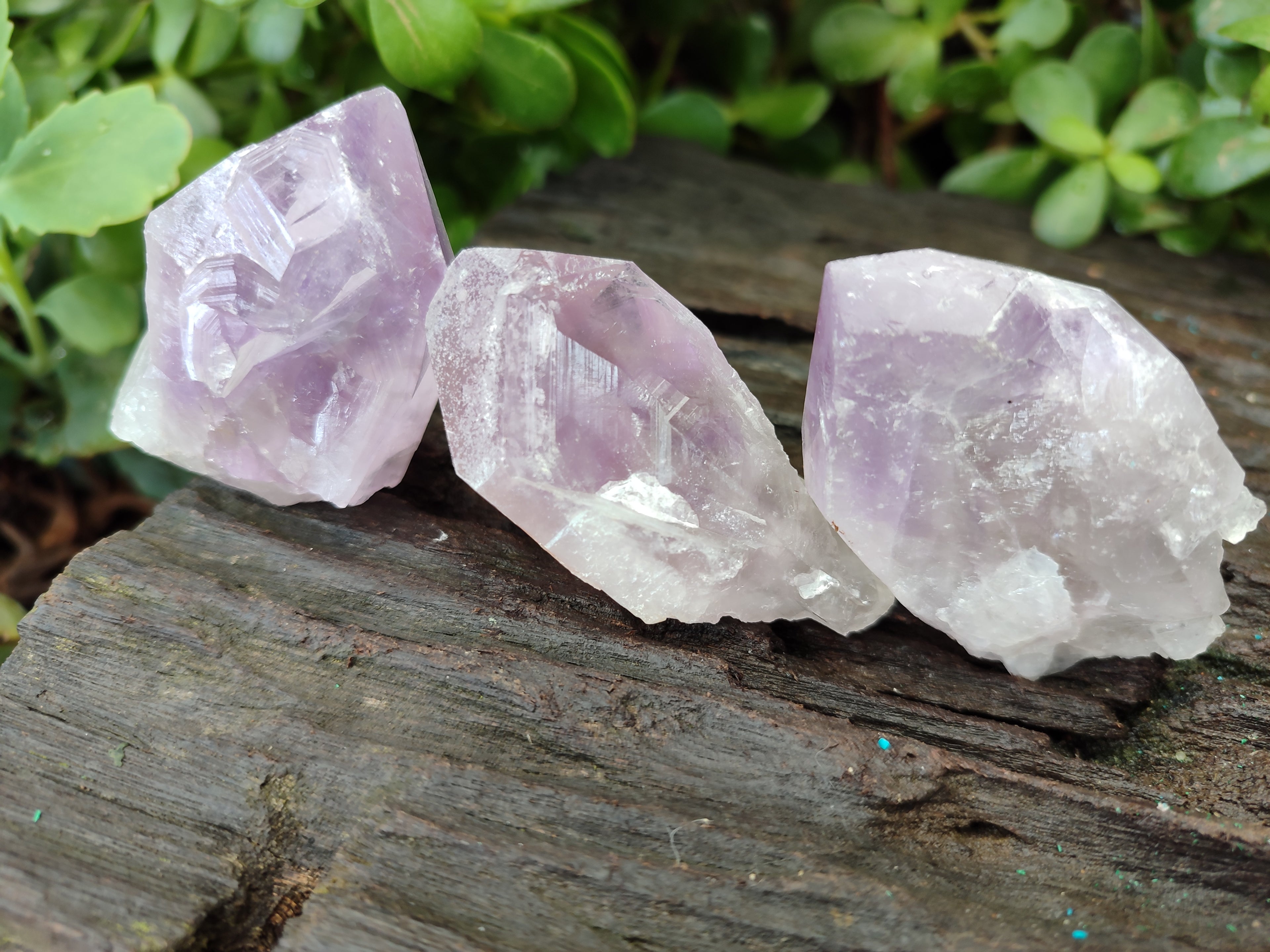 Natural Jacaranda Amethyst Single Quartz Crystals x 24 from Mumbwa, Zambia - Toprock Gemstones and Minerals 