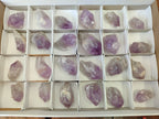 Natural Jacaranda Amethyst Single Quartz Crystals x 24 from Mumbwa, Zambia - Toprock Gemstones and Minerals 