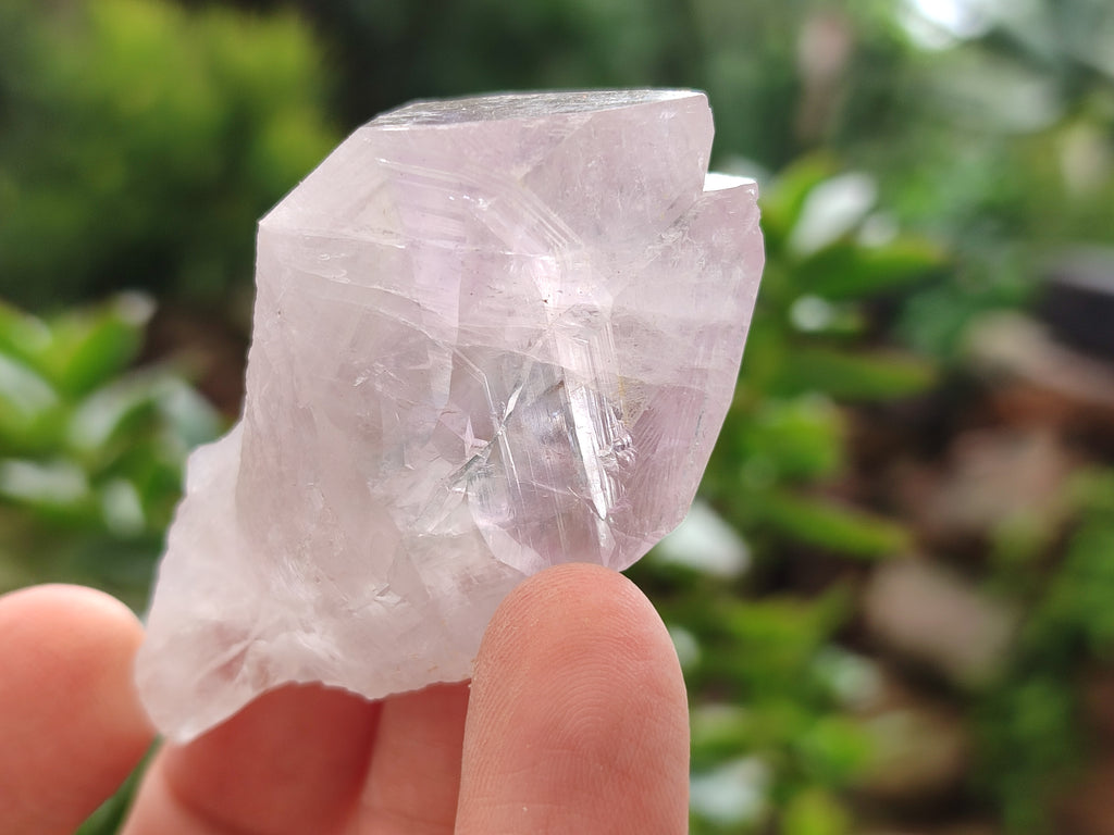 Natural Jacaranda Amethyst Single Quartz Crystals x 24 from Mumbwa, Zambia - Toprock Gemstones and Minerals 