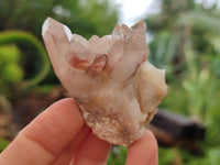 Natural Red Hematoid Quartz Crystals x 35 From Karoi, Zimbabwe - Toprock Gemstones and Minerals 