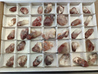 Natural Red Hematoid Quartz Crystals x 35 From Karoi, Zimbabwe - Toprock Gemstones and Minerals 