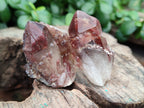 Natural Red Hematoid Quartz Crystals x 35 From Karoi, Zimbabwe - Toprock Gemstones and Minerals 