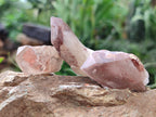 Natural Red Hematoid Quartz Crystals x 35 From Karoi, Zimbabwe - Toprock Gemstones and Minerals 