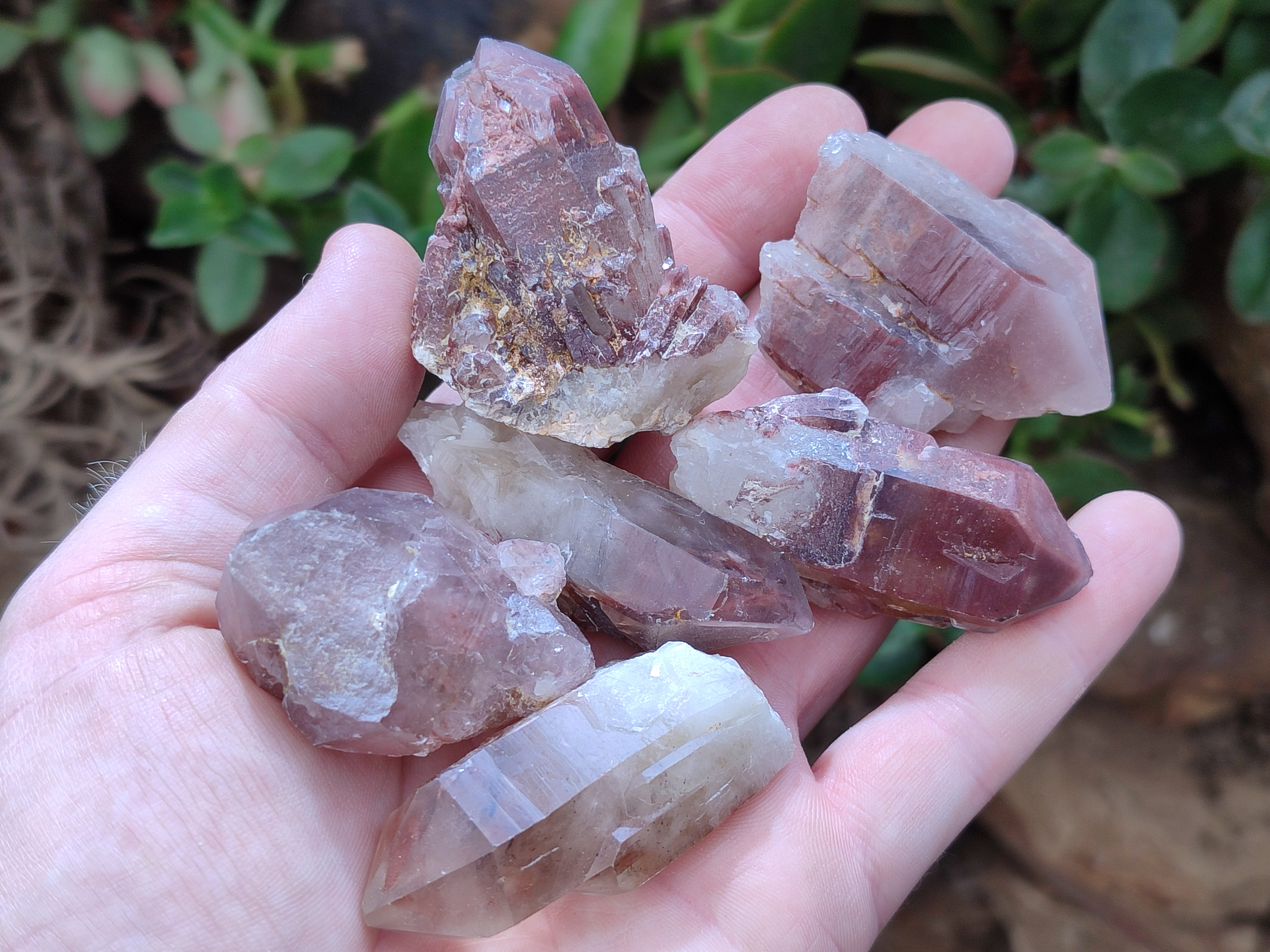 Natural Red Hematoid Quartz Crystals x 35 From Karoi, Zimbabwe - Toprock Gemstones and Minerals 