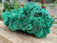 Natural Silky Malachite Specimens x 2 From Kasompe, Congo - Toprock Gemstones and Minerals 
