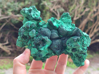 Natural Silky Malachite Specimens x 2 From Kasompe, Congo - Toprock Gemstones and Minerals 