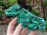 Natural Silky Malachite Specimens x 2 From Kasompe, Congo - Toprock Gemstones and Minerals 