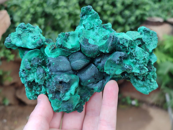 Natural Silky Malachite Specimens x 2 From Kasompe, Congo - Toprock Gemstones and Minerals 