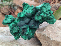 Natural Silky Malachite Specimens x 2 From Kasompe, Congo - Toprock Gemstones and Minerals 