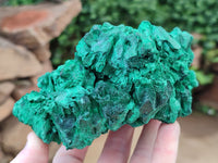 Natural Silky Malachite Specimens x 2 From Kasompe, Congo - Toprock Gemstones and Minerals 