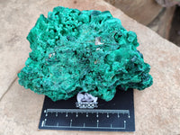 Natural Silky Malachite Specimens x 2 From Kasompe, Congo - Toprock Gemstones and Minerals 