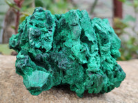 Natural Silky Malachite Specimens x 2 From Kasompe, Congo - Toprock Gemstones and Minerals 
