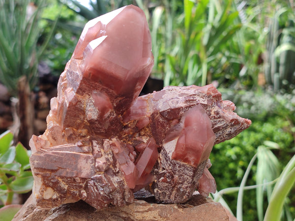 Natural Red Hematoid Quartz Clusters x 3 From Karoi, Zimbabwe