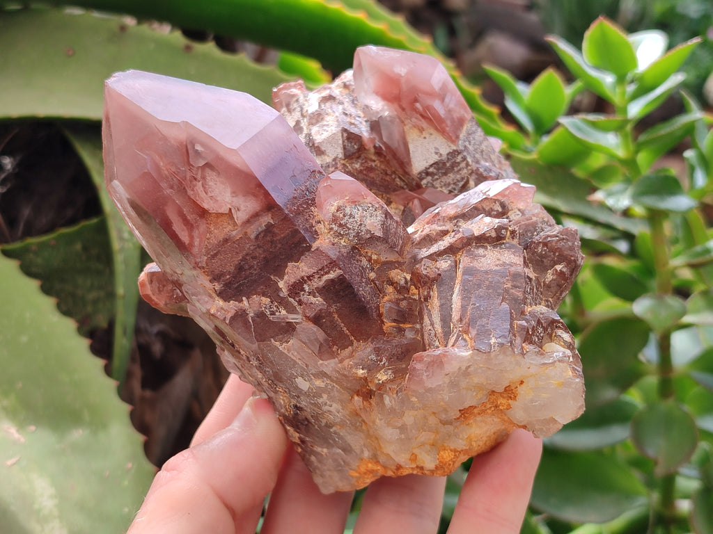 Natural Red Hematoid Quartz Clusters x 3 From Karoi, Zimbabwe - Toprock Gemstones and Minerals 