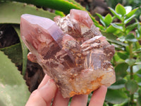 Natural Red Hematoid Quartz Clusters x 3 From Karoi, Zimbabwe
