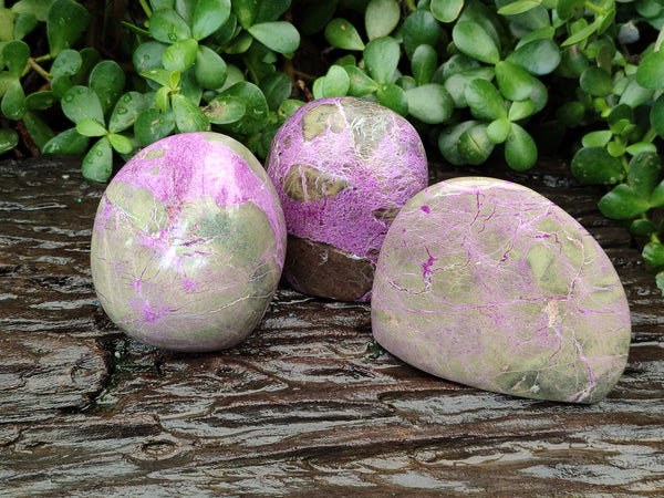 Polished Stichtite Standing Free Forms x 3 From Barberton, South Africa - Toprock Gemstones and Minerals 