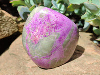Polished Stichtite Standing Free Forms x 3 From Barberton, South Africa - Toprock Gemstones and Minerals 