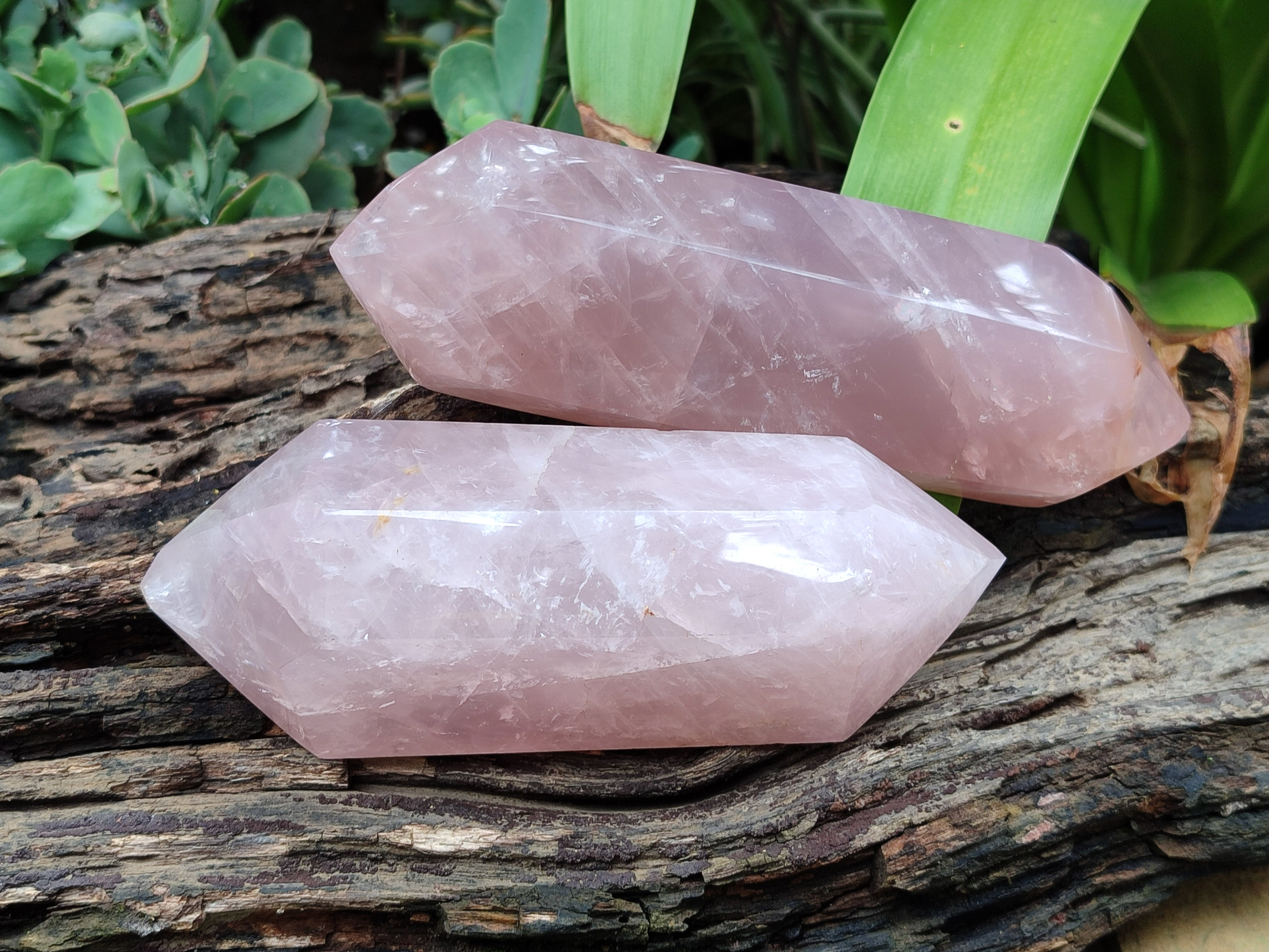 Polished Double Terminated Rose Quartz Points x 3 From Madagascar - Toprock Gemstones and Minerals 