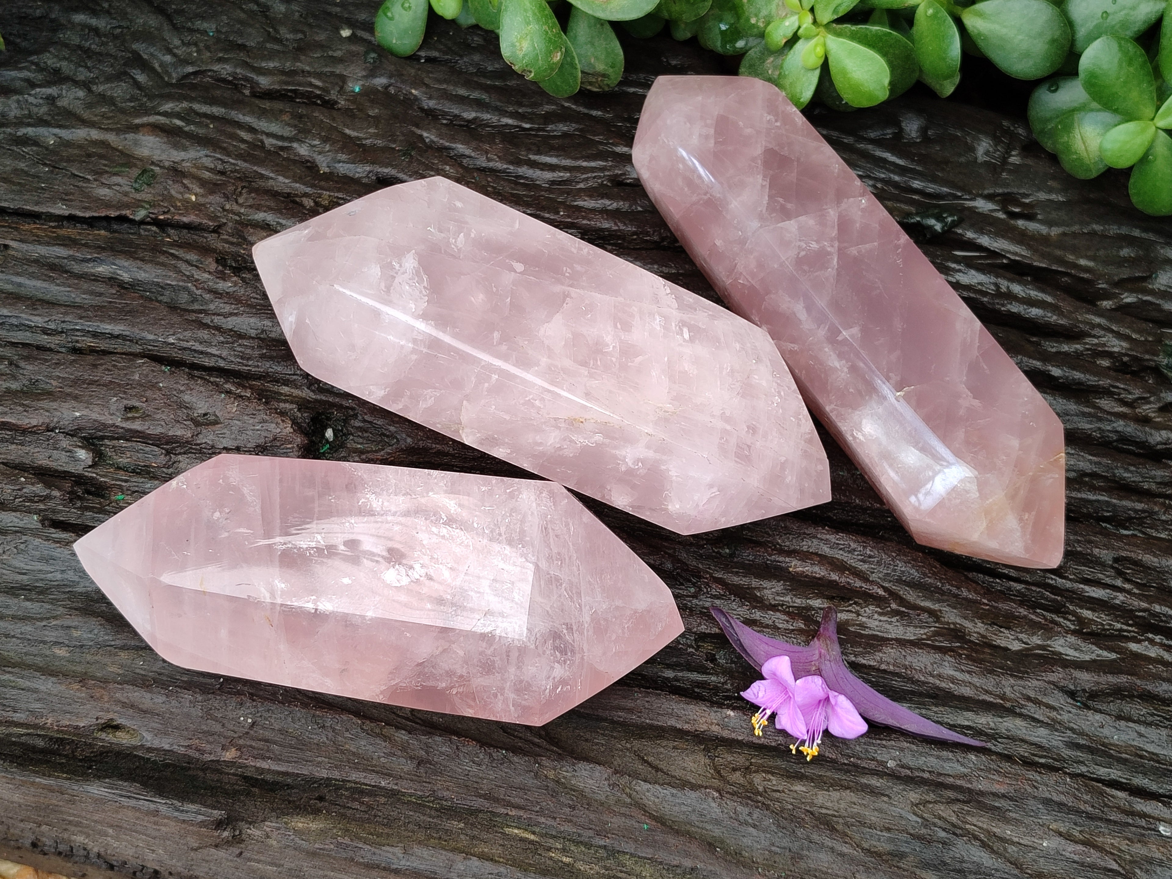 Polished Double Terminated Rose Quartz Points x 3 From Madagascar - Toprock Gemstones and Minerals 