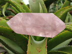 Polished Double Terminated Rose Quartz Points x 3 From Madagascar - Toprock Gemstones and Minerals 