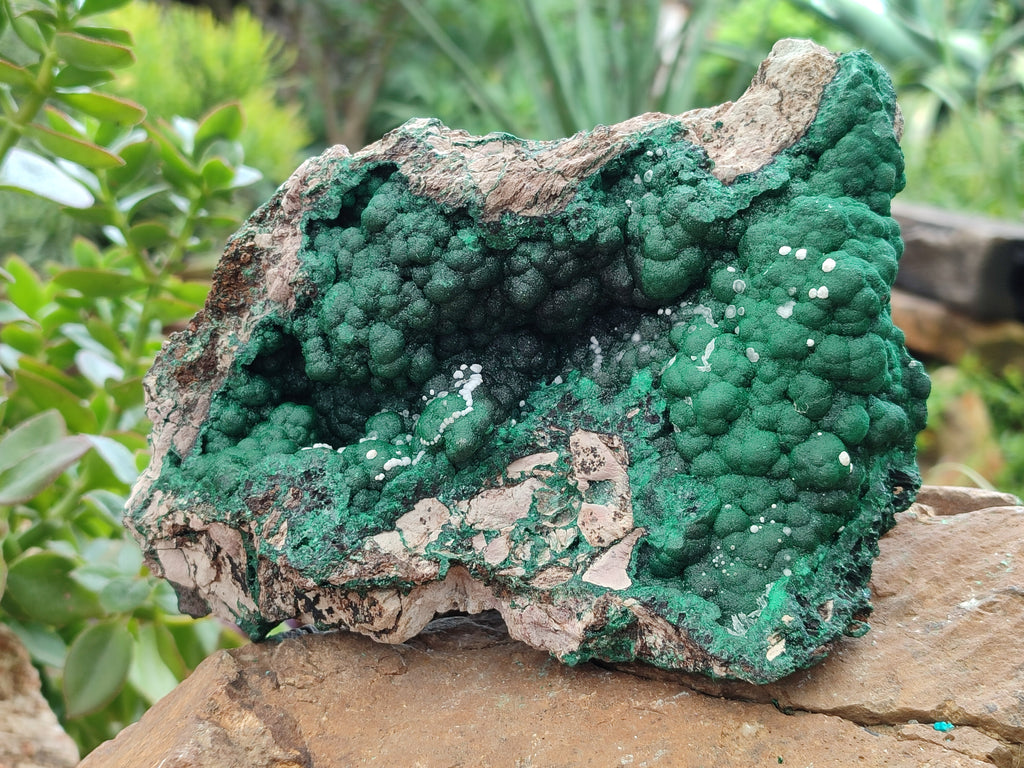 Natural Ball Malachite On Dolomite Matrix Specimen x 1 From Kambove, Congo - Toprock Gemstones and Minerals 