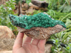 Natural Ball Malachite On Dolomite Matrix Specimen x 1 From Kambove, Congo - Toprock Gemstones and Minerals 