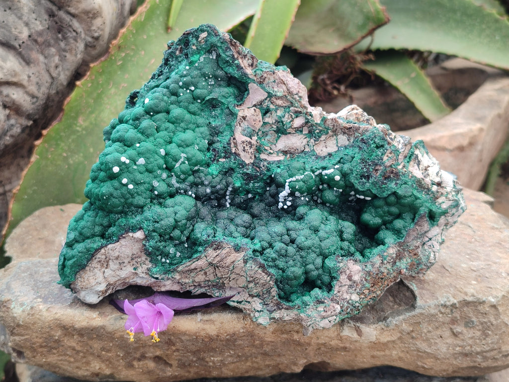 Natural Ball Malachite On Dolomite Matrix Specimen x 1 From Kambove, Congo - Toprock Gemstones and Minerals 