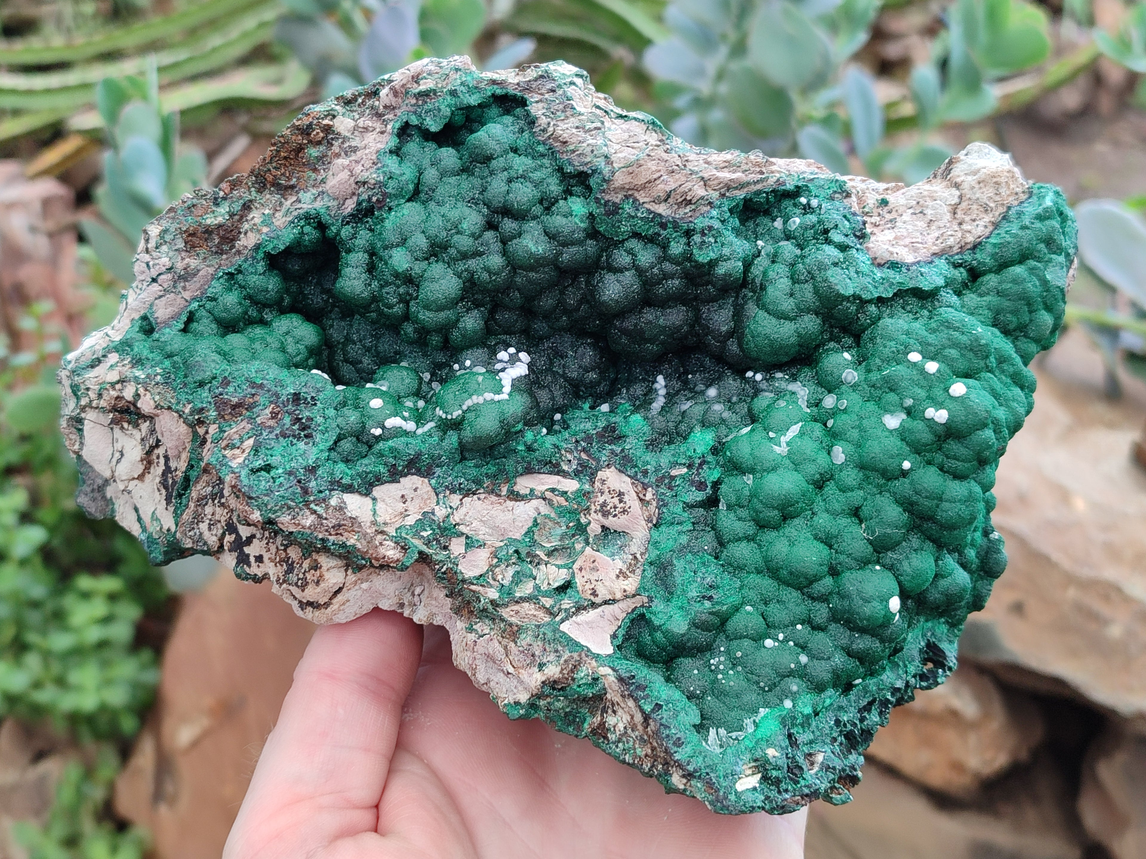 Natural Ball Malachite On Dolomite Matrix Specimen x 1 From Kambove, Congo - Toprock Gemstones and Minerals 