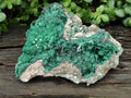 Natural Ball Malachite On Dolomite Matrix Specimen x 1 From Kambove, Congo - Toprock Gemstones and Minerals 