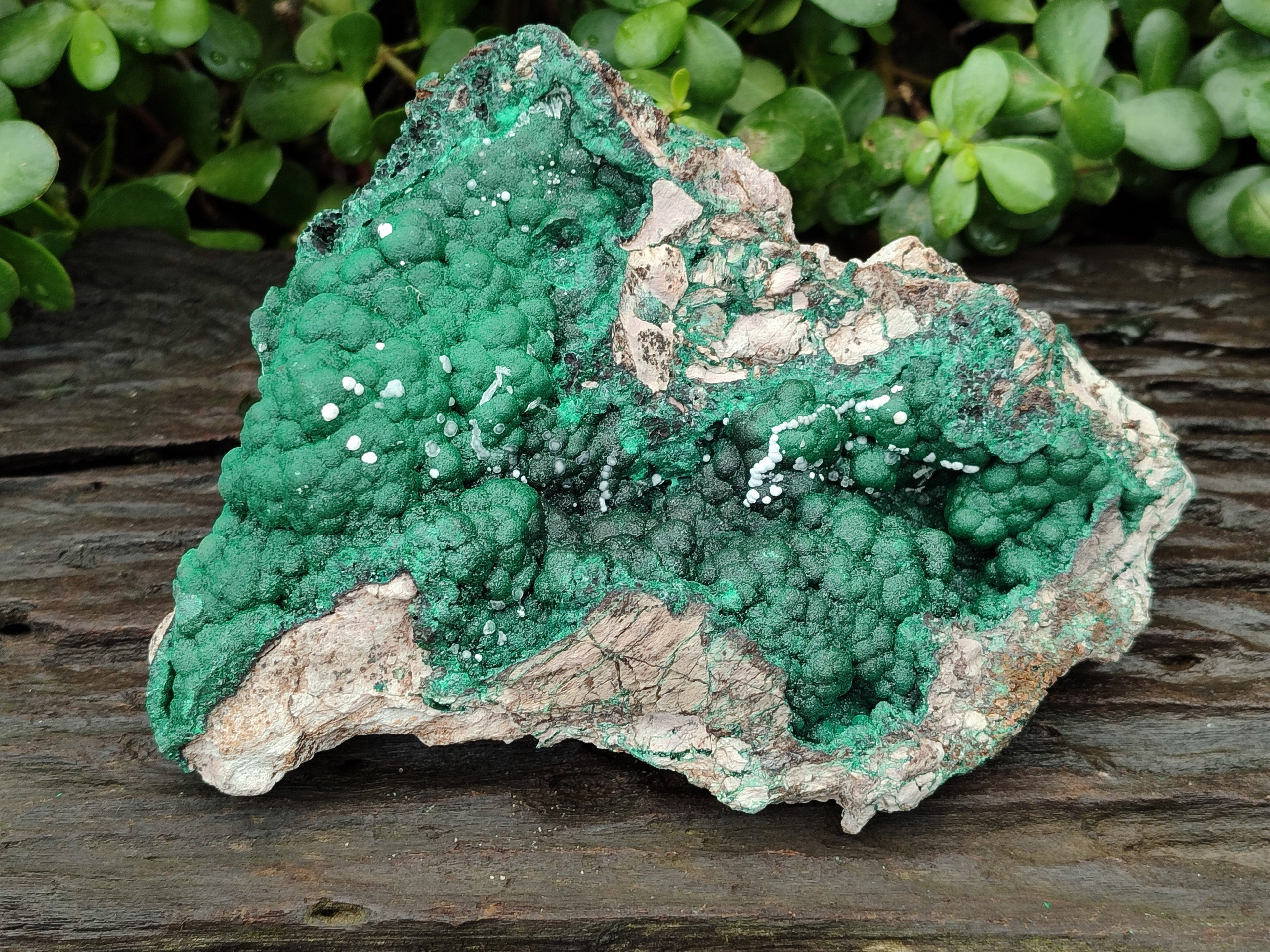 Natural Ball Malachite On Dolomite Matrix Specimen x 1 From Kambove, Congo - Toprock Gemstones and Minerals 