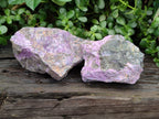 Natural Stichtite Cobbed Specimens x 2 From Barberton, South Africa - Toprock Gemstones and Minerals 