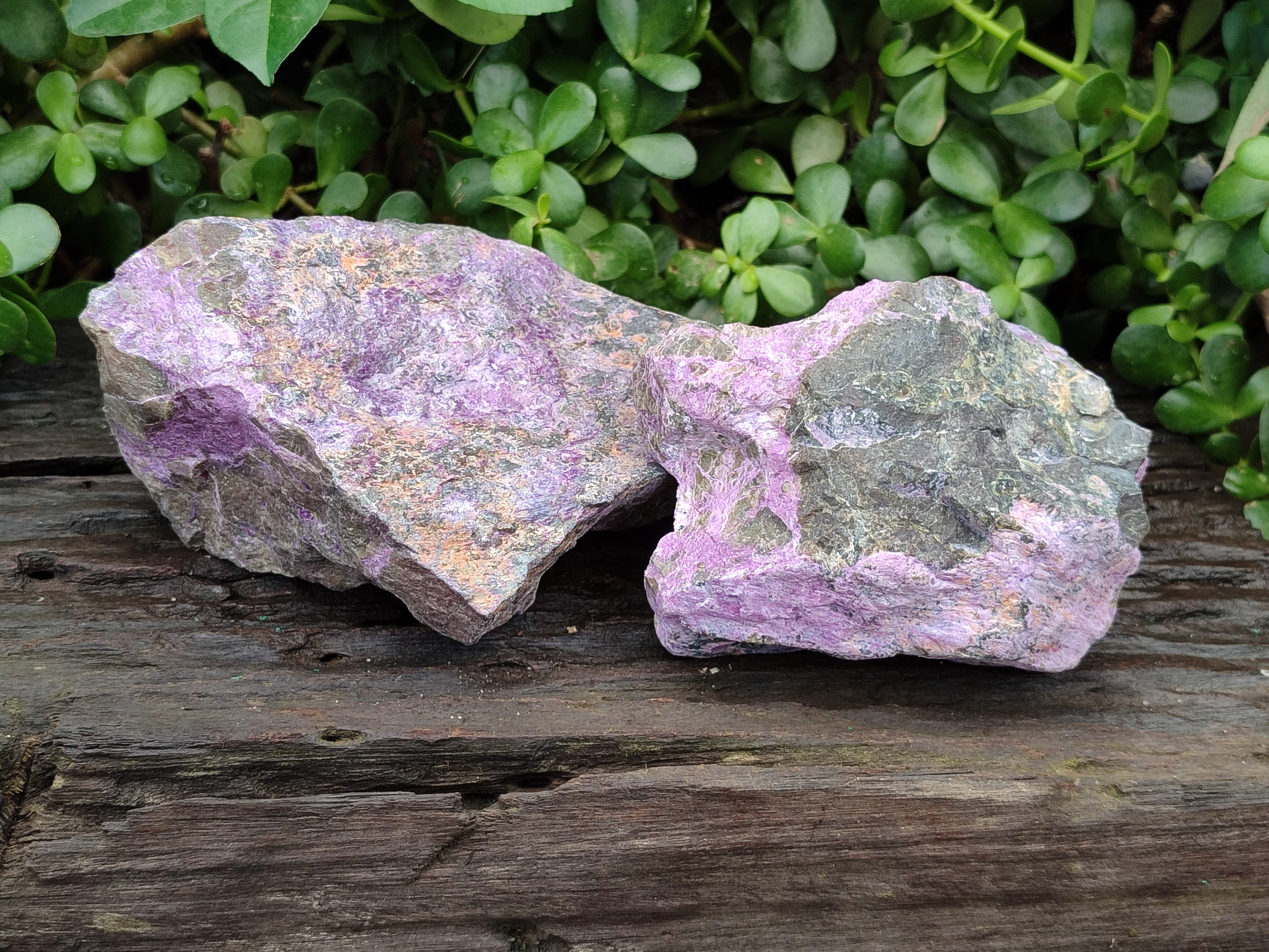 Natural Stichtite Cobbed Specimens x 2 From Barberton, South Africa - Toprock Gemstones and Minerals 