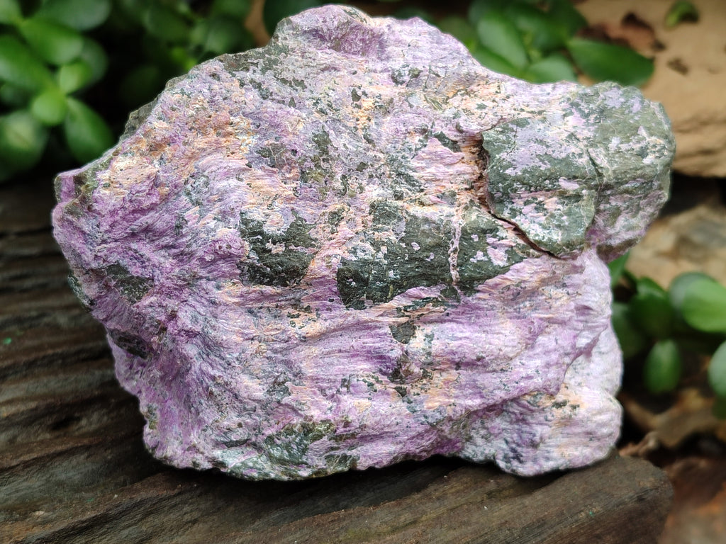 Natural Stichtite Cobbed Specimens x 2 From Barberton, South Africa - Toprock Gemstones and Minerals 