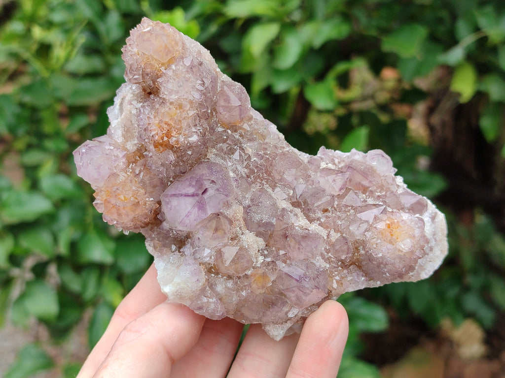 Natural Amethyst Spirit Quartz Clusters x 6 From Boekenhouthoek, South Africa - Toprock Gemstones and Minerals 