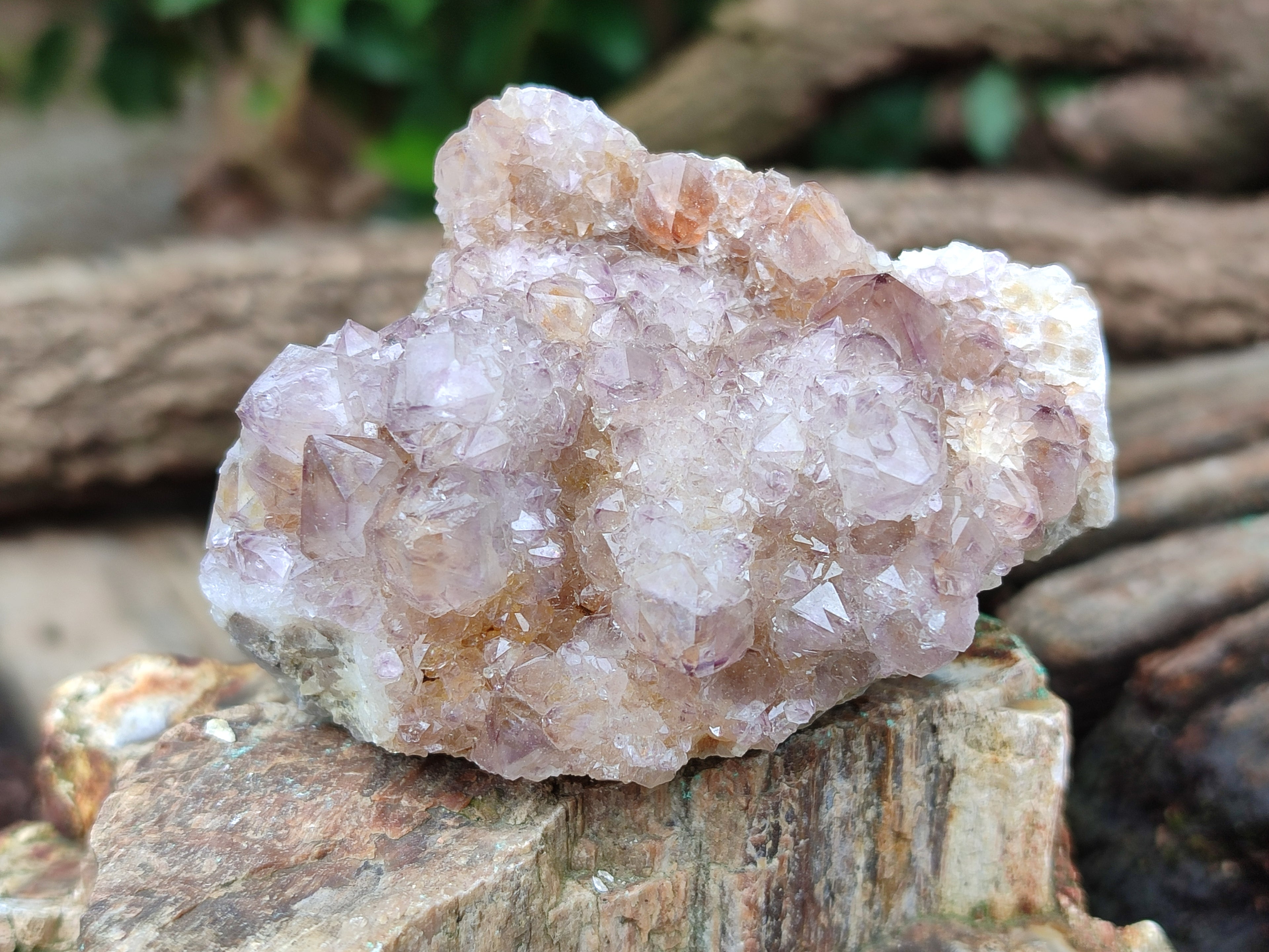 Natural Amethyst Spirit Quartz Clusters x 6 From Boekenhouthoek, South Africa - Toprock Gemstones and Minerals 