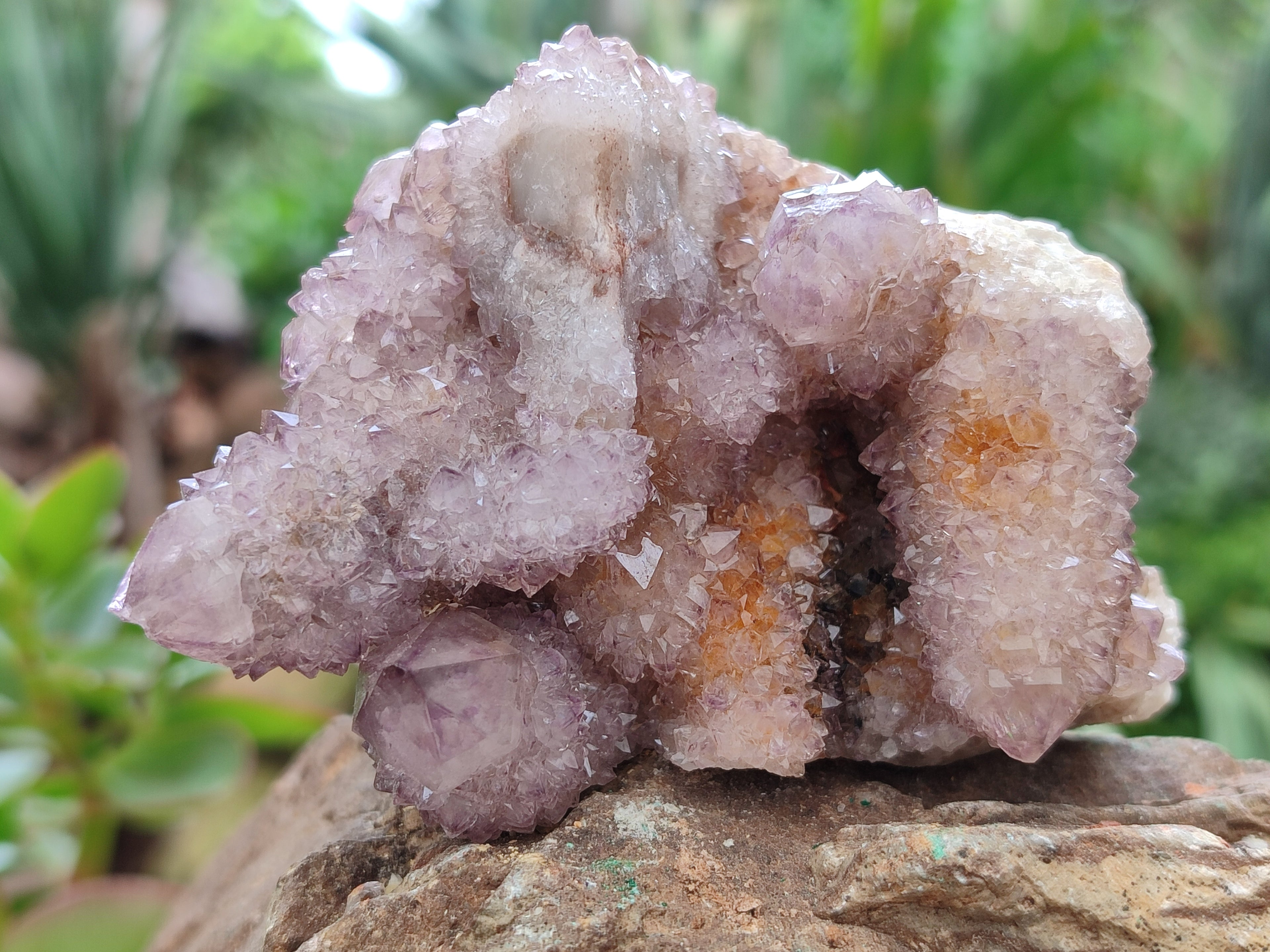 Natural Amethyst Spirit Quartz Clusters x 6 From Boekenhouthoek, South Africa - Toprock Gemstones and Minerals 