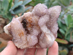 Natural Amethyst Spirit Quartz Clusters x 6 From Boekenhouthoek, South Africa - Toprock Gemstones and Minerals 