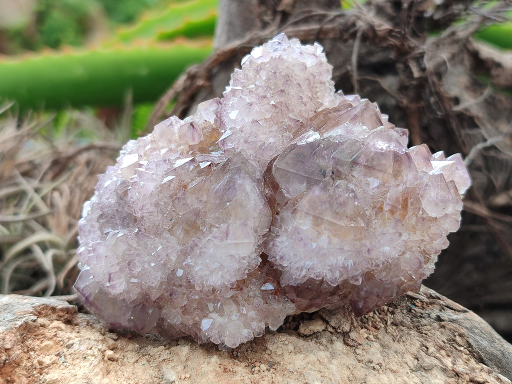 Natural Amethyst Spirit Quartz Clusters x 6 From Boekenhouthoek, South Africa - Toprock Gemstones and Minerals 