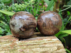 Polished Petrified Wood Spheres x 3 From Gokwe, Zimbabwe - Toprock Gemstones and Minerals 