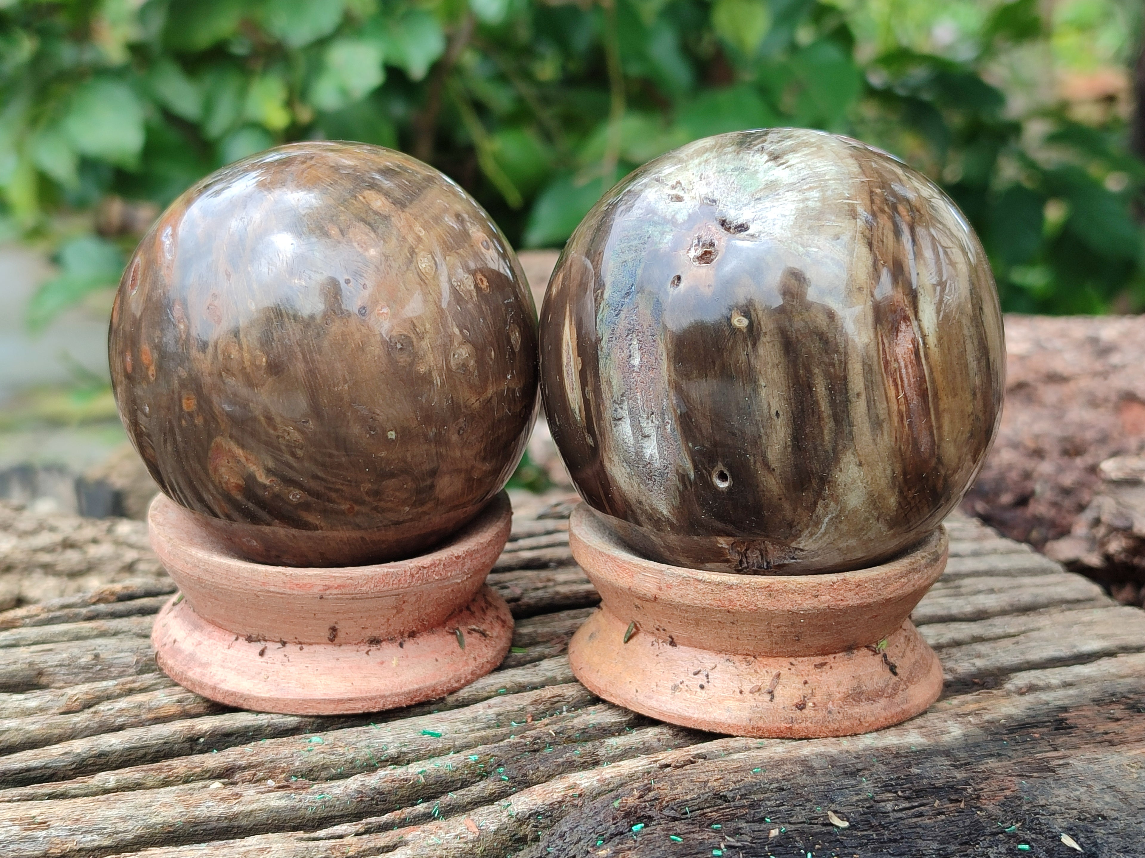 Polished Petrified Wood Spheres x 3 From Gokwe, Zimbabwe - Toprock Gemstones and Minerals 