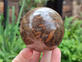 Polished Petrified Wood Spheres x 3 From Gokwe, Zimbabwe - Toprock Gemstones and Minerals 