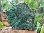 Natural Botryoidal Malachite Specimens x 6 From Congo - Toprock Gemstones and Minerals 