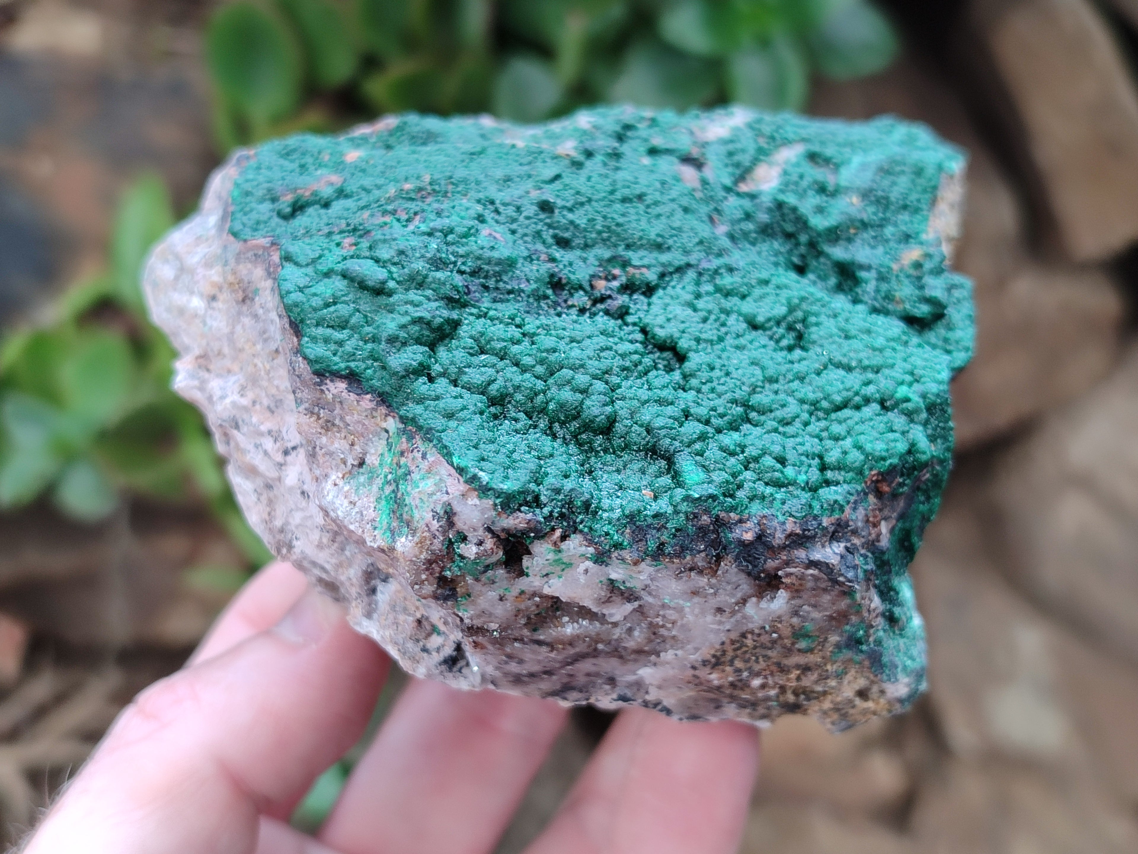 Natural Botryoidal Malachite Specimens x 6 From Congo - Toprock Gemstones and Minerals 