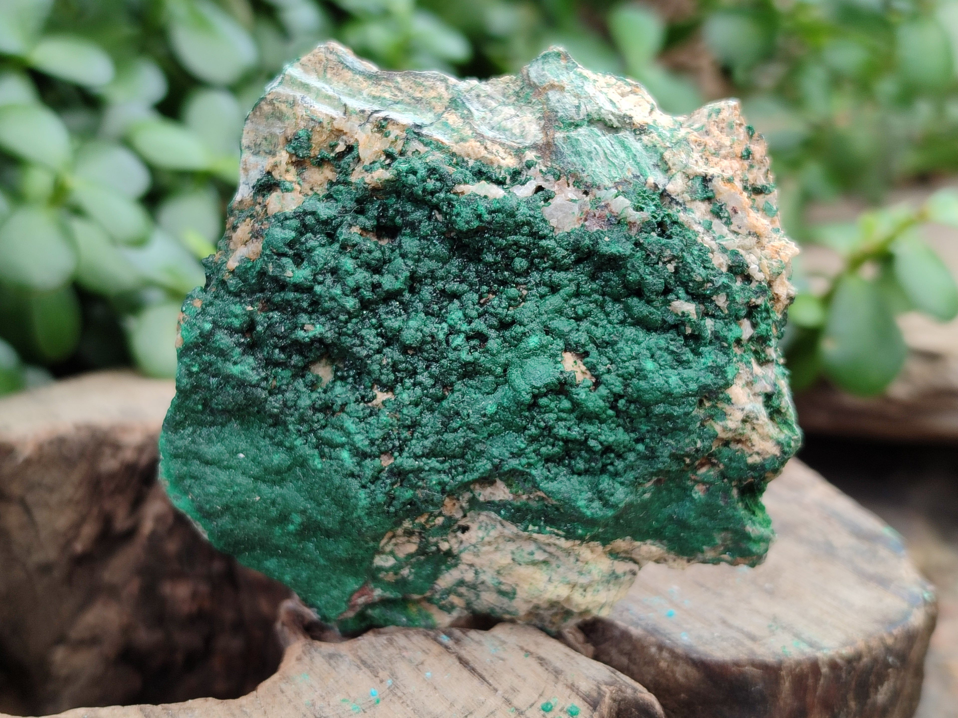 Natural Botryoidal Malachite Specimens x 6 From Congo - Toprock Gemstones and Minerals 
